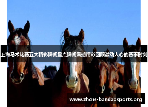 上海马术比赛五大精彩瞬间盘点瞬间震撼精彩回顾激动人心的赛事时刻