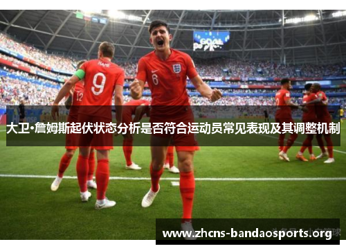 大卫·詹姆斯起伏状态分析是否符合运动员常见表现及其调整机制