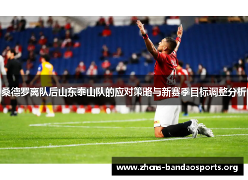 桑德罗离队后山东泰山队的应对策略与新赛季目标调整分析