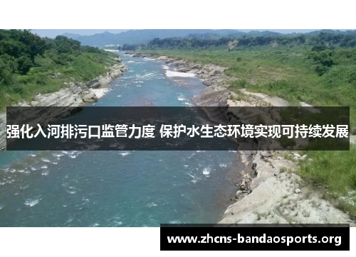 强化入河排污口监管力度 保护水生态环境实现可持续发展