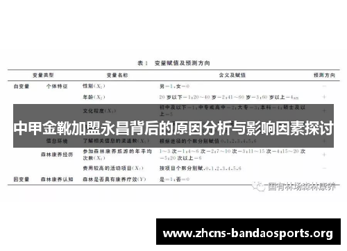 中甲金靴加盟永昌背后的原因分析与影响因素探讨