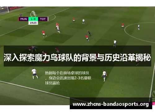 深入探索魔力鸟球队的背景与历史沿革揭秘