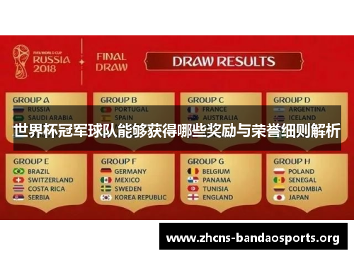世界杯冠军球队能够获得哪些奖励与荣誉细则解析