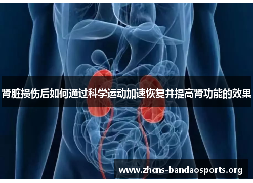 肾脏损伤后如何通过科学运动加速恢复并提高肾功能的效果