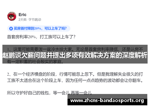 赵鹏谈欠薪问题并提出多项有效解决方案的深度解析