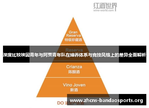 深度比较埃因青年与阿贾青年队在培养体系与竞技风格上的差异全面解析