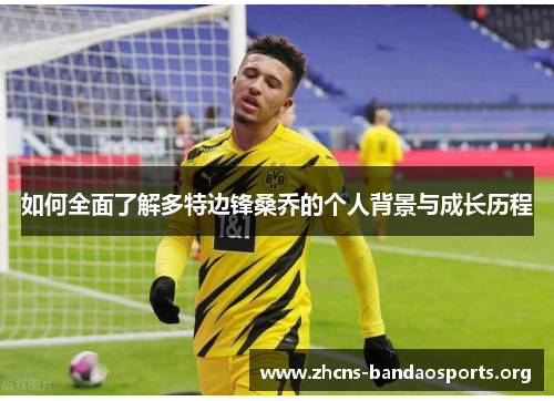 如何全面了解多特边锋桑乔的个人背景与成长历程