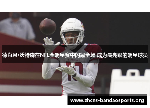 德肖恩·沃特森在NFL全明星赛中闪耀全场 成为最亮眼的明星球员