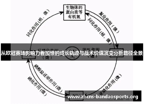 从欧冠赛场影响力看加维的成长轨迹与战术价值演变分析路径全景 从欧冠赛场影响力看加维的成长轨迹与战术价值演变分析路径全景